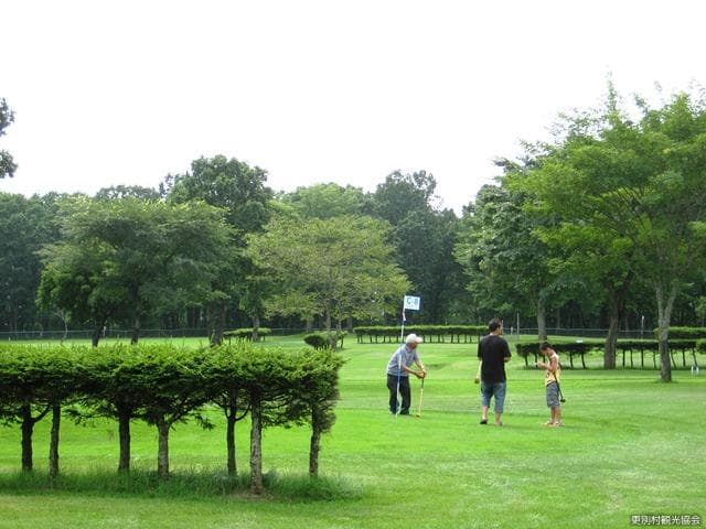 Acorn park plum country