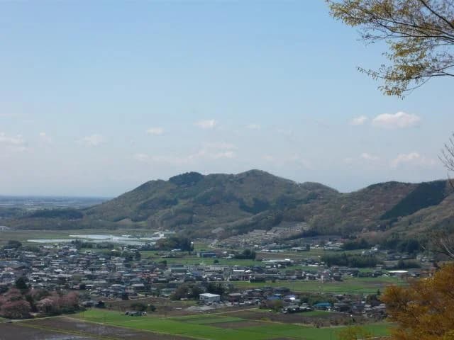 Mt. Mt.