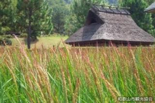 紀伊風土記の丘