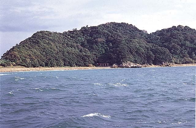 Biroshima Subtropical Plant Community