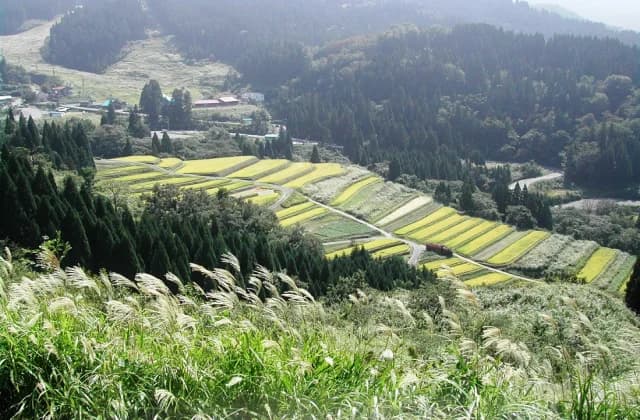 Tanada