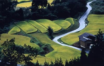 Tanada