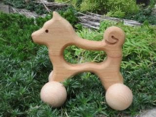 A squash dog