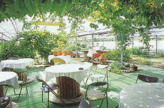 Mitsusefam Hab Garden