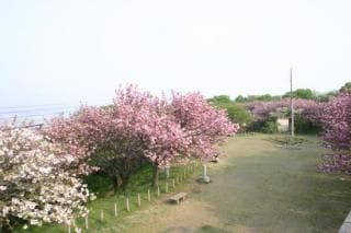 Morojoji Park 2