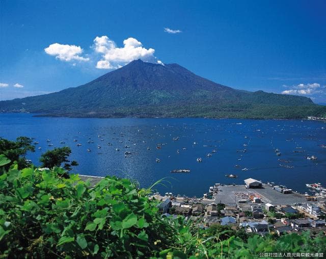 垂水・海潟漁港から望む桜島