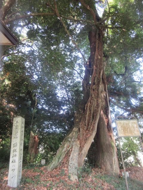 Susa-jinja Shrine Fuji