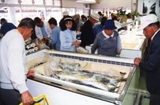 Product direct sales outlets