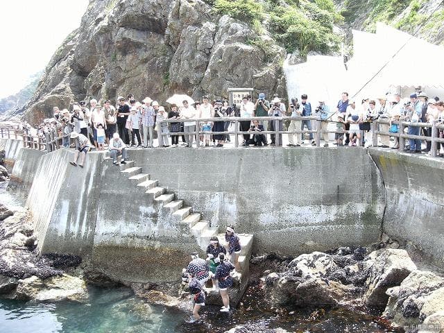 A tour of the ama demonstration in the northern limit