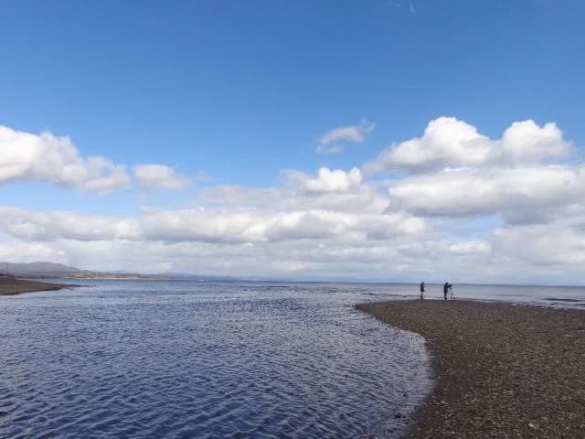 Estuary