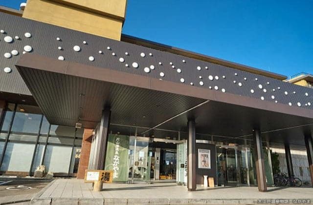 Oedo Onsen Story Katayamazu Onsen Nagayama