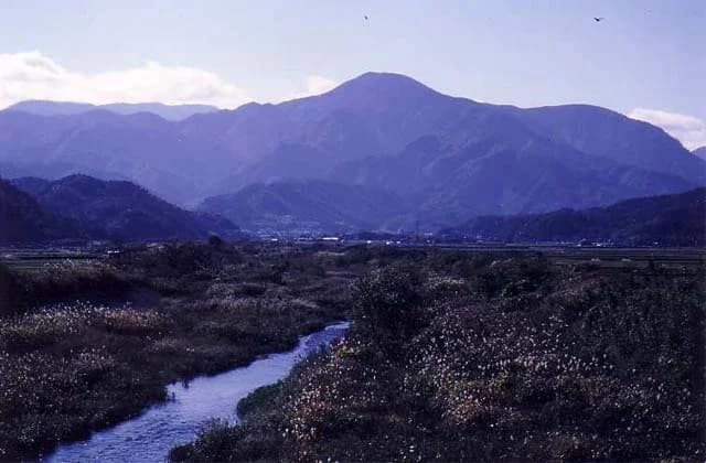 Mt.