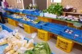 Vegetables shipped directly from local farmers