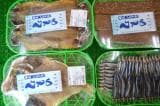 Dried fish