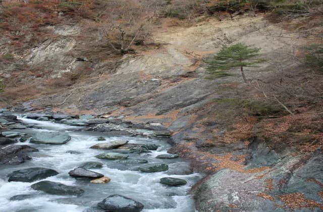 Niikura Fault