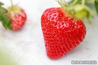 まくべついちご園