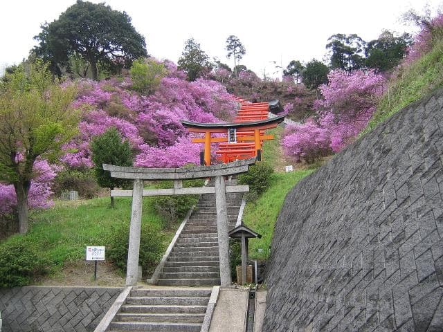 獅子崎稲荷つつじ