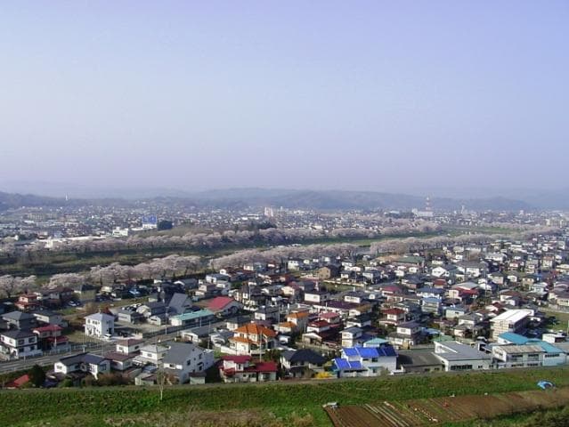 View from Nira Kamiyama Observation Deck