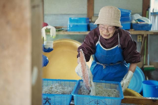 Whitebait cleaning image