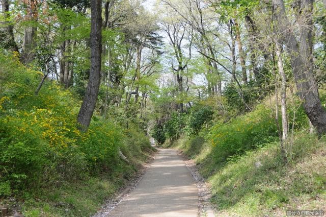 Kamakura Highway