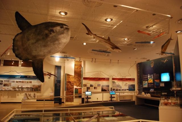 Inside the study hall