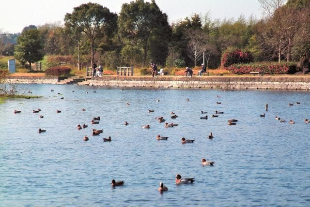 浮島周辺水辺公園
