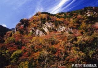 Autumn leaves on the Besshi Line
