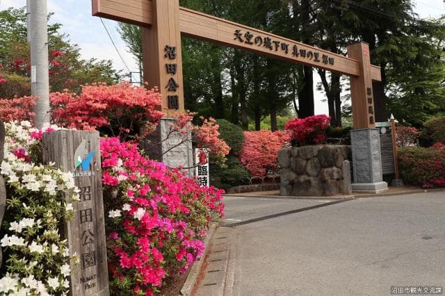 Numata Park (Azalea)