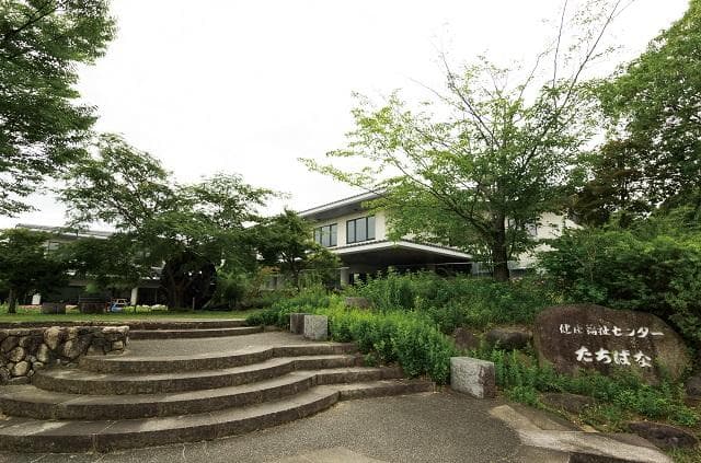 A quick fly from the bus stop