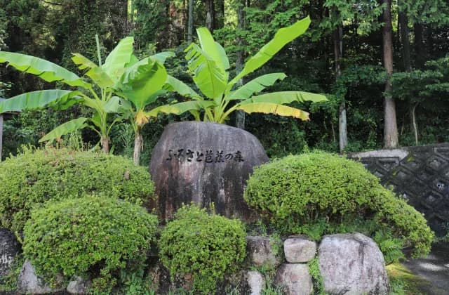 ふるさと芭蕉の森公園