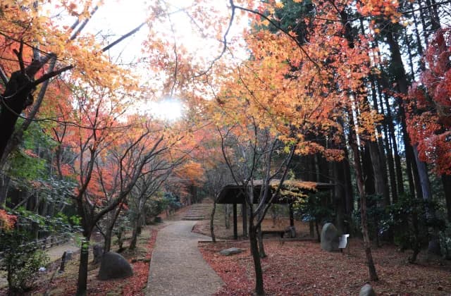ふるさと芭蕉の森公園