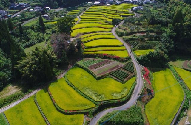 The surrounding landscape