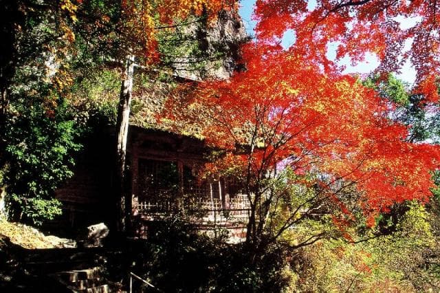 Main Hall of Iwaya Shrine in Autumn (Kunishige Bun)