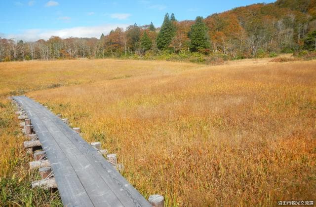 玉原湿原(木道)