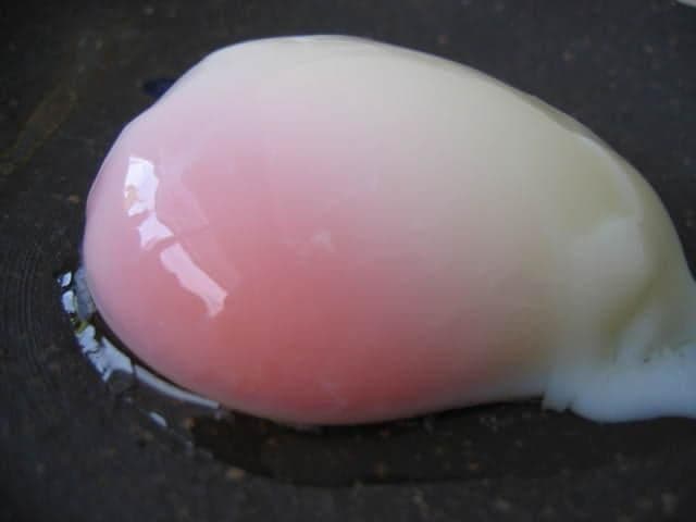 Thick yeast egg