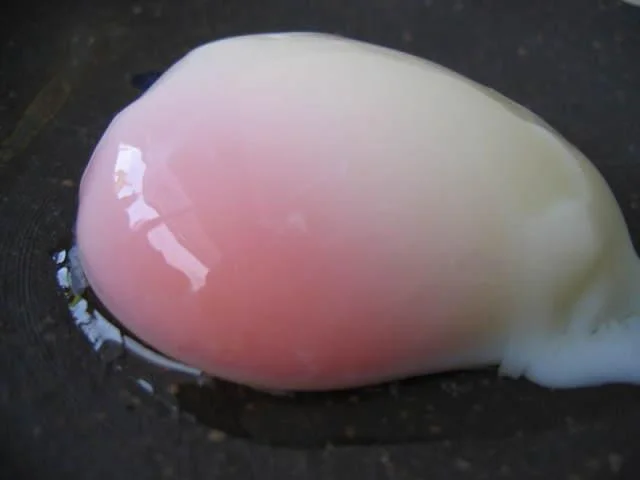 Torori yeast egg
