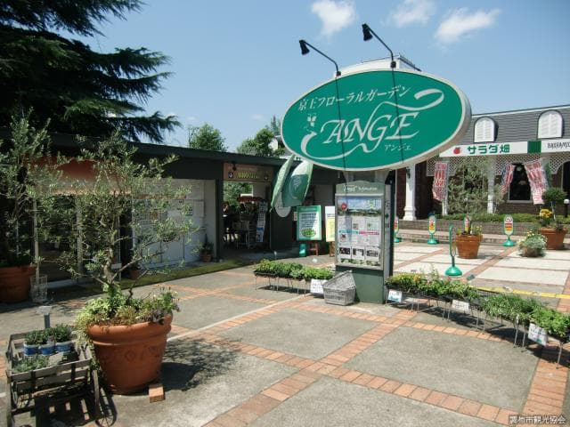 京王フローラルガーデン‘アンジェ’