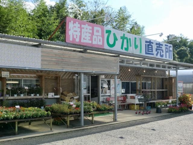 Hikari Direct Sales Office
