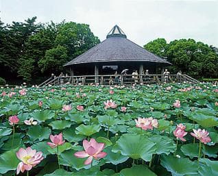 Chiba Park
