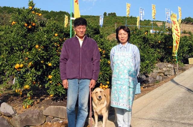 Tensui Orange Village