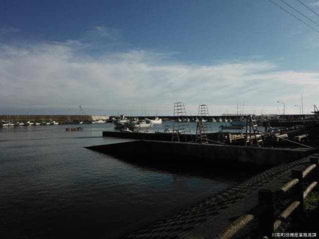 Kawaminami Fishing Port