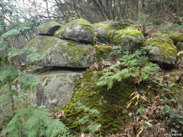 Frog stone