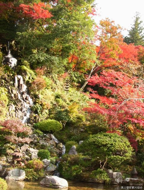 Sakurai Family Autumn Leaves