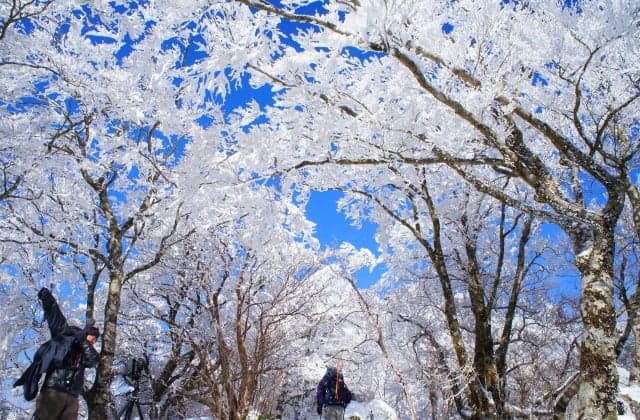 Kanpuzan (provided by Niyodo Blue Tourism Council)