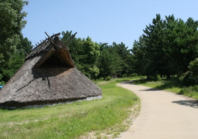 Onaka Site