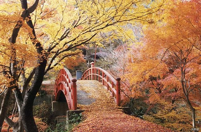 Tsukimi Bridge