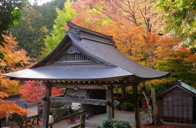 天開山口窄泰運寺　紅葉