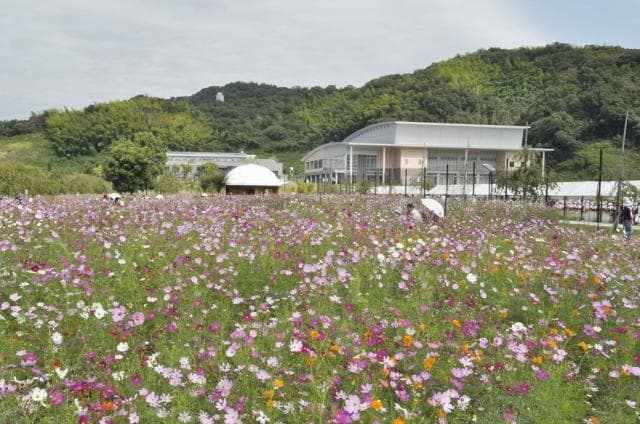 Kudamatsu Sports Park / Cosmos