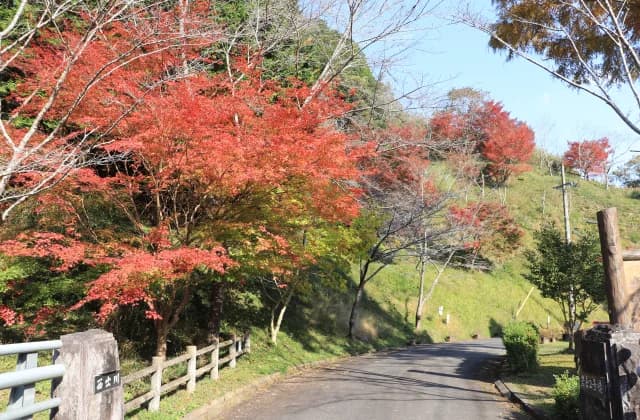 Iwakurakyo Park Campsite
