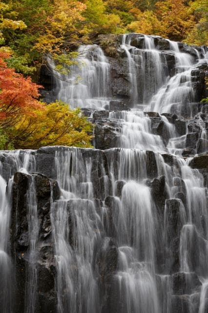 Nino Falls